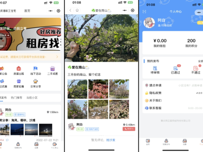 同城论坛发布社区系统源码 二手闲置 房屋出租 全开源